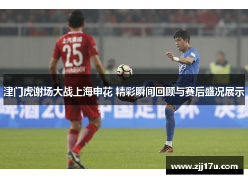 津门虎谢场大战上海申花 精彩瞬间回顾与赛后盛况展示
