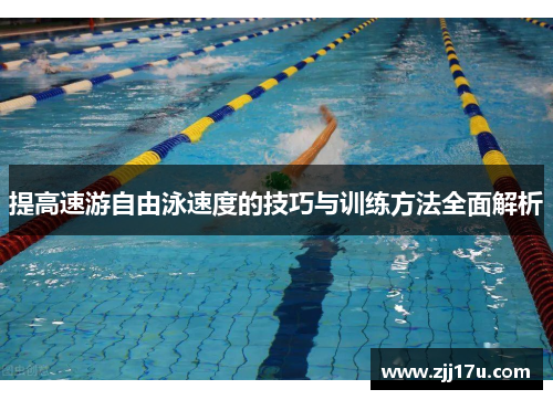 提高速游自由泳速度的技巧与训练方法全面解析